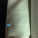 2025년 2~3월 일상 조각 모음
