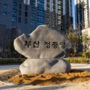 백양산롯데캐슬골드센트럴공인중개사사무소 이미지