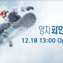 양지-20 이미지