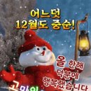 일희일비