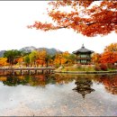 향원정 이미지