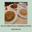 분당 정자 아메리칸 차이니즈 맛집 플라잉드래곤 | 차우멘, 볶음밥, 오렌지 치킨(내돈내산/포장가능)