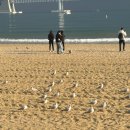 카페드오 | 부산 당일치기 여행 경로 추천 :: 이재모, 동경밥상, 톤쇼우, 소품샵, 광안리 해변