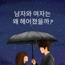 연상회 이미지