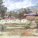 수채화B 이미지