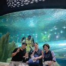 호광 | 다시 찾은 부천 플레이아쿠아리움