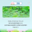 연식품