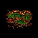 막썰어횟집 이미지