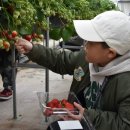 신천도서관 이미지