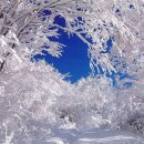 아름다운 추억 이미지