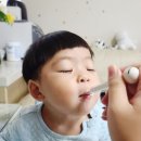 안성아이스크림할인점