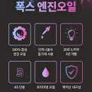 퍼스트게러지 이미지