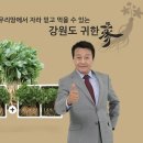 청유담 뉴스워커
