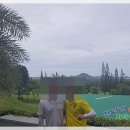 피닉스클럽 이미지