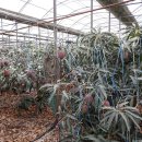 대평감산로 이미지