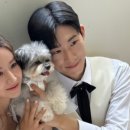 스튜디오비