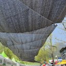 용문산 종합관광안내소 | 2025 양평 산나물축제 방문후기