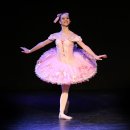 성인발레 중급 이미지