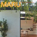 마루(MARU) 이미지