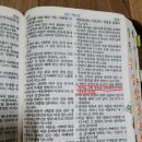 꼼꼼이옷수선 이미지