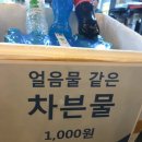 삼성출판박물관 | 푸른피를 수혈하러 간 대구 라이온즈파크 방문 후기