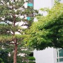 법무법인두경인천 네이버블로그