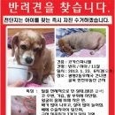 광명2동 우체국 이미지