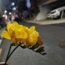 염창역 이번지 이미지