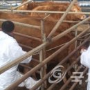 전북대학교 익산캠퍼스 이미지