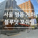 명동모텔 | 서울 명동 게스트하우스 블루닷포쉬텔 내돈내산 숙박 후기