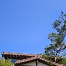 호박꽃초롱 : 데이트하기 좋은 평택 한옥 카페 쌍화차 곶감단지