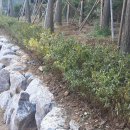 ㈜신명건설 이미지