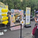 스마일 어게인 이미지