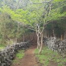 성기목장 이미지