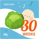 루반도르과자점 | 임산부일상(221031-221106): 임신29주 증상 / 쌍둥이임신 29주 / 신혼밥상 / 매일 먹는 일상