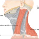 상왕십리경희한의원 이미지
