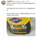 반려동물(특히 고양이) 키우는 여시들 집에 이 세정제 있으면 지금 바로 버려 ＜유한락스 펫 메스 리무버＞ 이미지