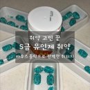 쥐약 알약 추천🐭 마우스홀릭으로 완벽한 쥐 퇴치 성공 후기