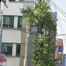 큰열매여성의원 이미지