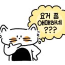 황돈돌미나리생삼겹