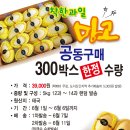 착한과일 이미지
