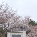 도계체육공원 테니스장 이미지