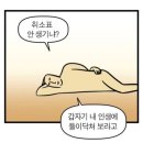 300방 되어가는 방탈러가 쓴 방탈출 문답 155문항