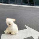 국가대표영웅태권도 | 두 눈에 담아 이 모든 것들을 네게 가져다줄 거야