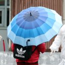 세종보건소 선별진료소 이미지