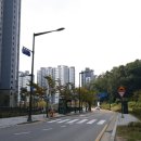 장안중앙로 이미지