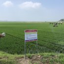 당진농기 이미지