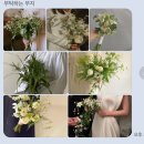 오다주 이미지