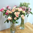 택배농장 이미지