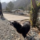 소리코티지 | 영월 에어비앤비 숙소 : 감성 가득 촌캉스 ‘스테이산골강남‘ 코티지하우스 내돈내산